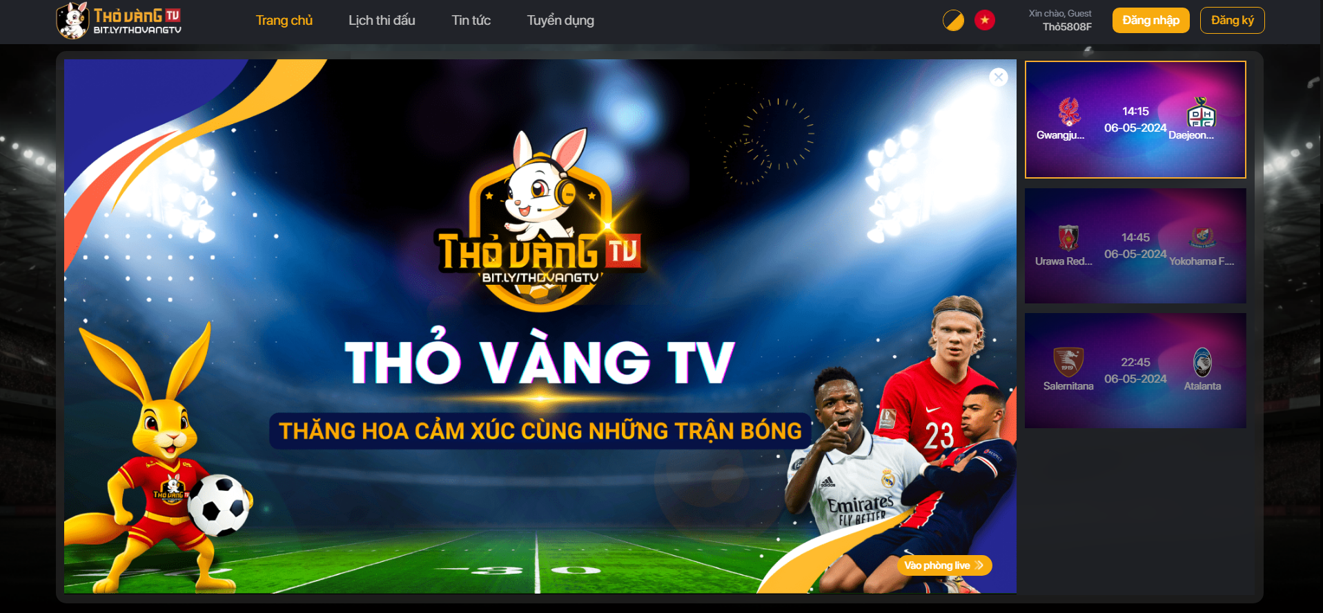 Trực Tiếp World Cup: Hướng Dẫn Toàn Diện Cho Người Hâm Mộ