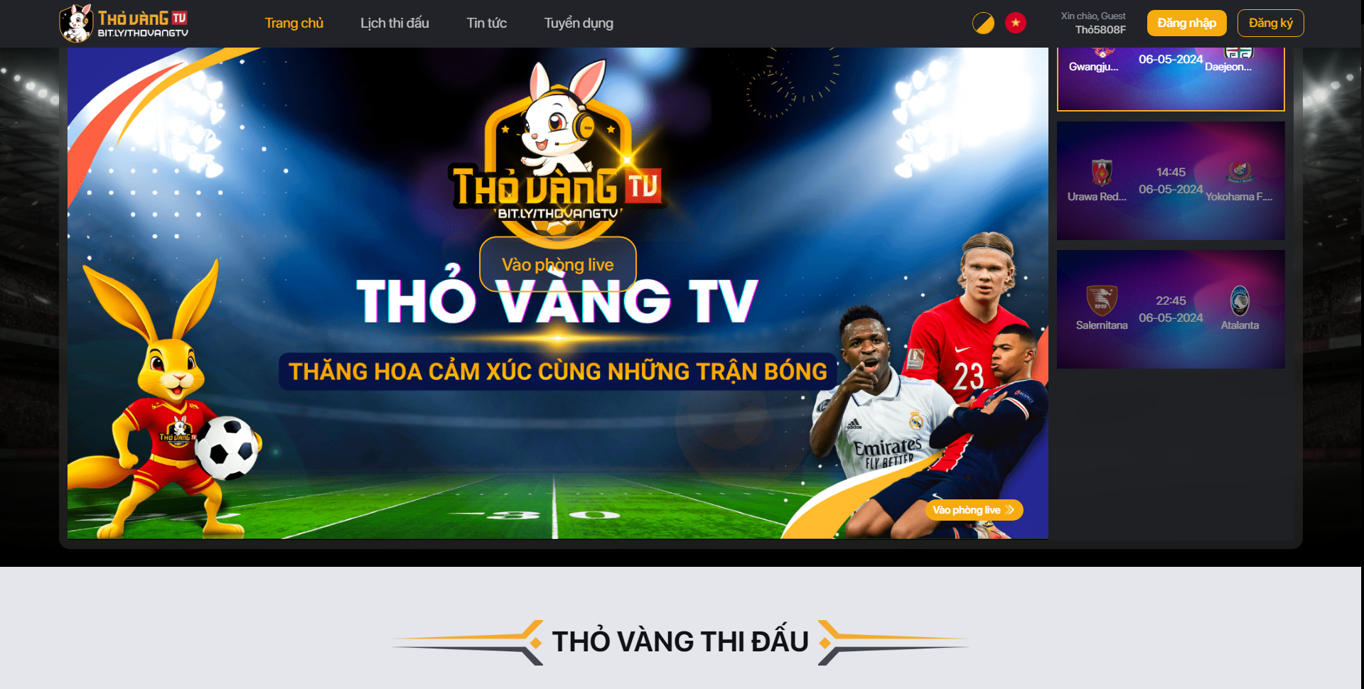 Xem Trực Tiếp World Cup: Lộ Trình Tối Ưu Cho Người Hâm Mộ Toàn Cầu